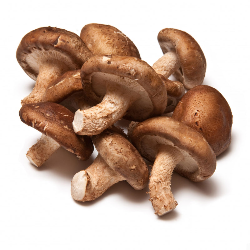 FUNGHI SHIITAKE FRESCHI BIO (250G)